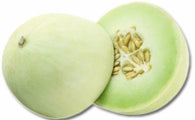 Honeydew