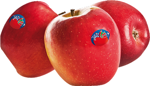 Jazz Apple 5lb